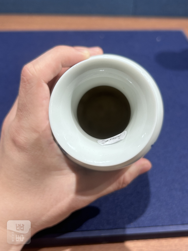 民国 王步青花花鸟图瓶一对 - 图8